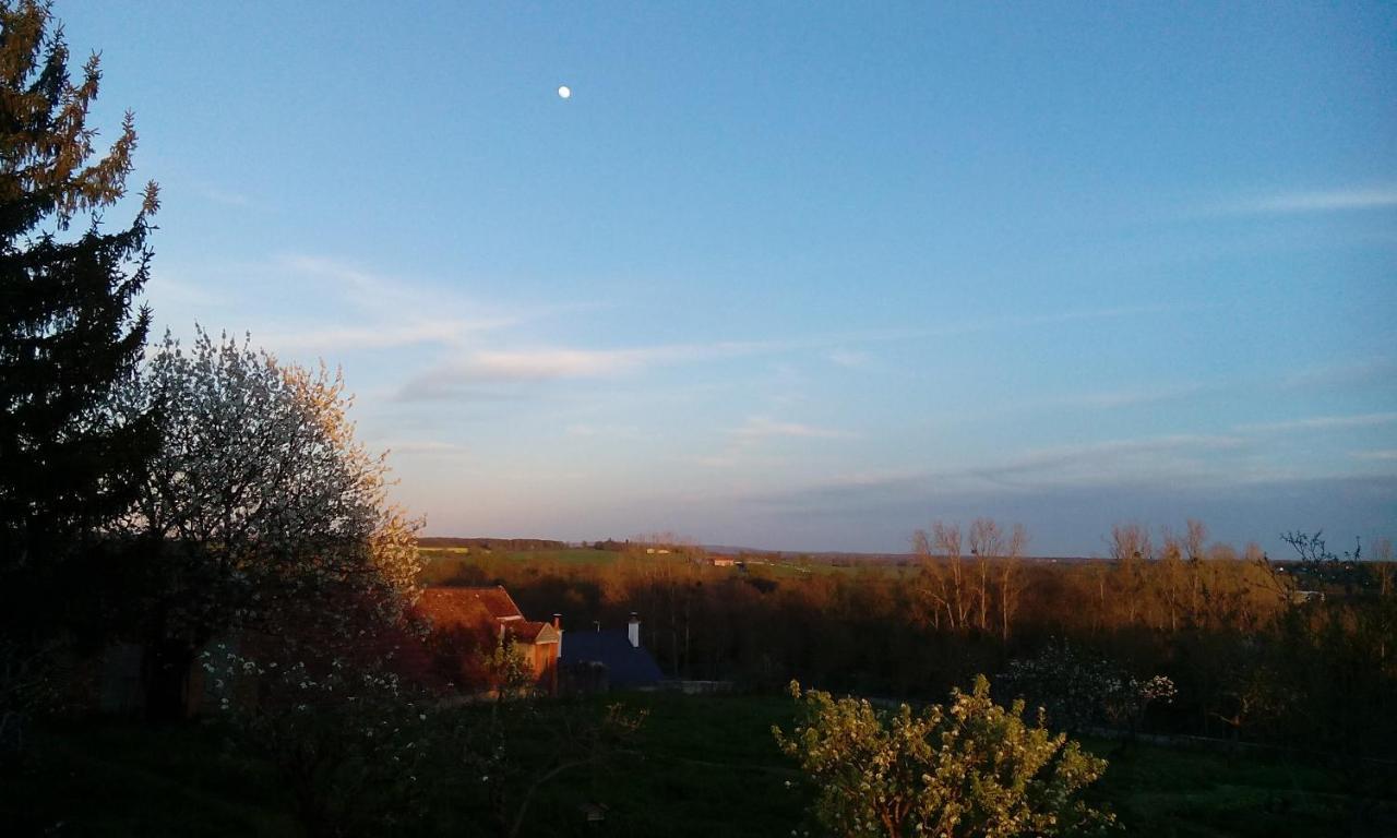 Chez Casimir Bed & Breakfast Cercy-la-Tour Bagian luar foto