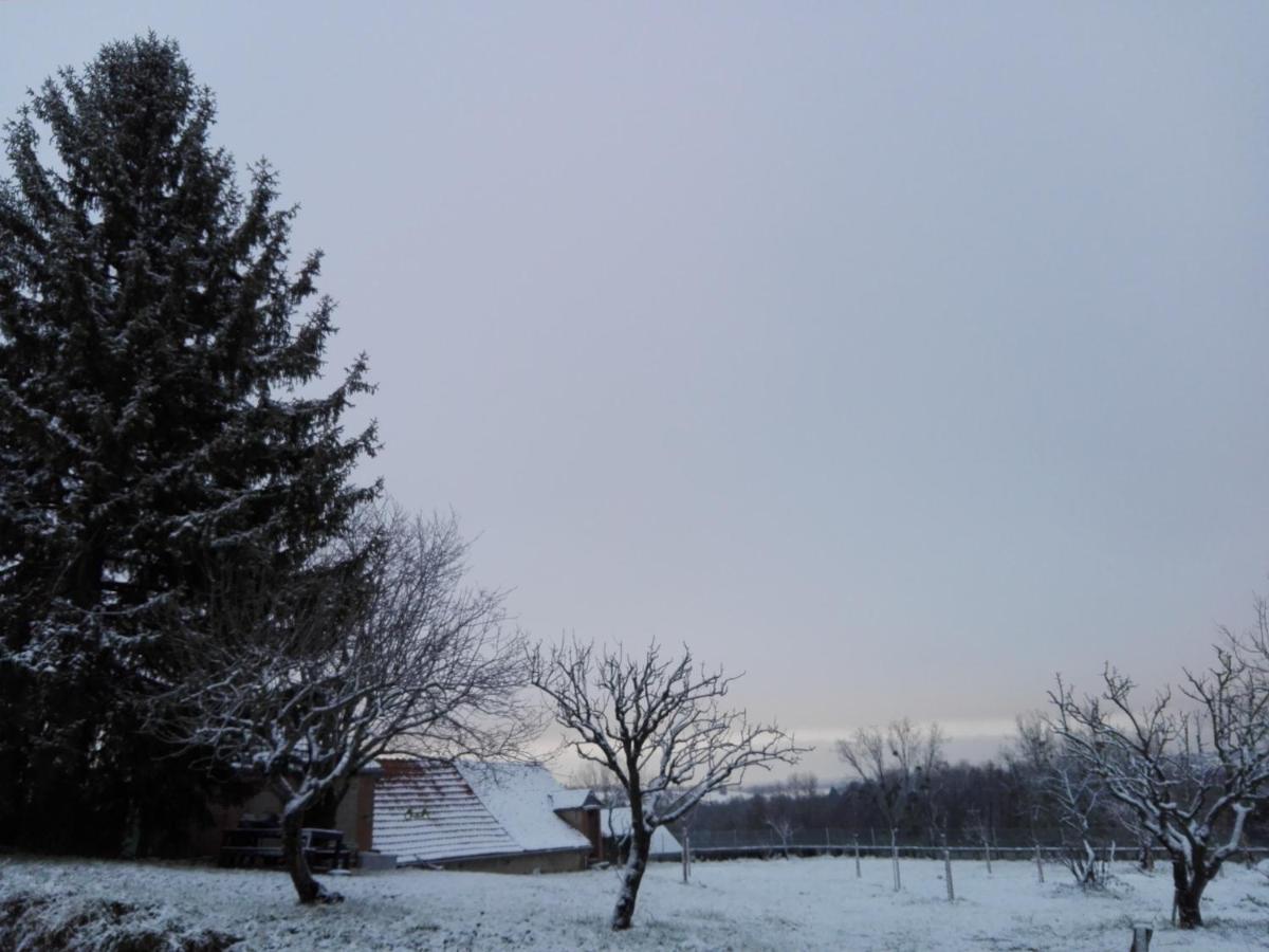 Chez Casimir Bed & Breakfast Cercy-la-Tour Bagian luar foto