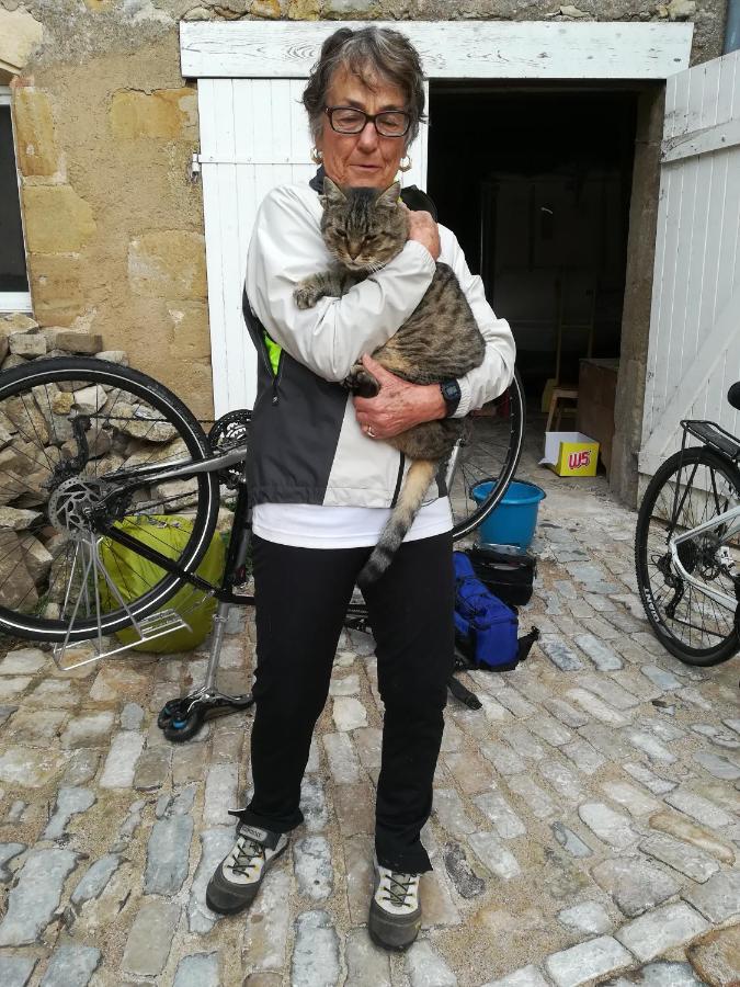 Chez Casimir Bed & Breakfast Cercy-la-Tour Bagian luar foto