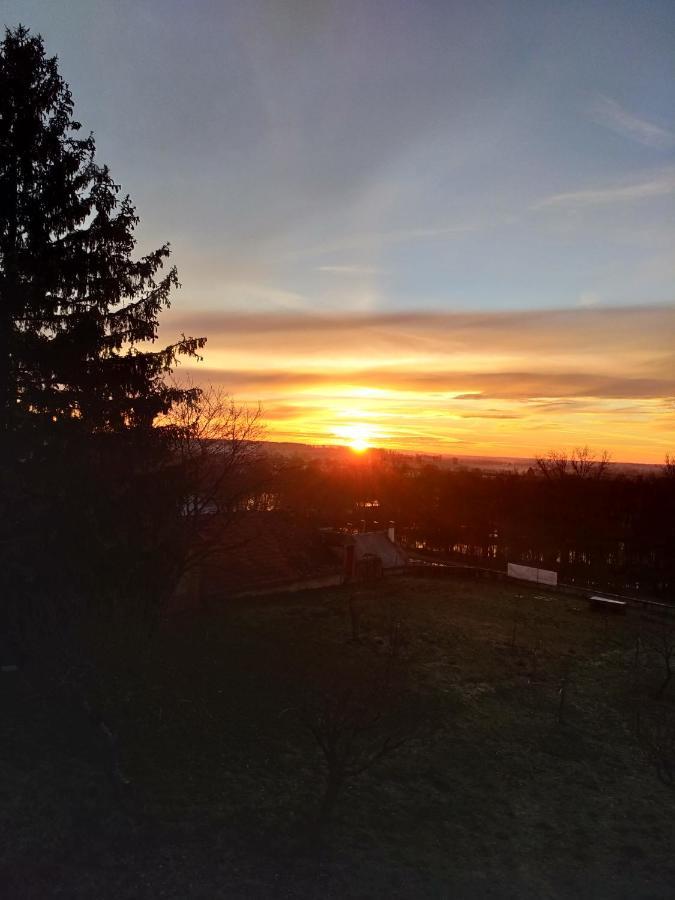 Chez Casimir Bed & Breakfast Cercy-la-Tour Ruang foto